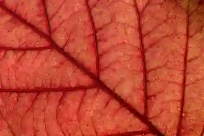 Background Eraser로 쉽게 누끼따는 방법 알아보자