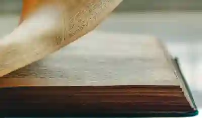 사파리와 삼성 인터넷, 크롬에서 단어 검색하는 4가지 방법 알아보자