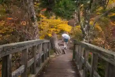 Antaro Font의 매력을 알아보자