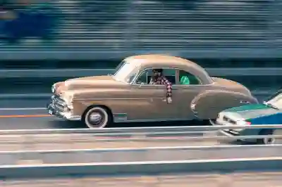 HS겨울눈꽃체 활용법 알아보자