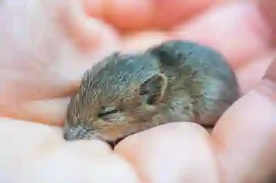 윈도우10에서 마우스 휠 스크롤 및 버튼 설정하는 꿀팁 알아보자