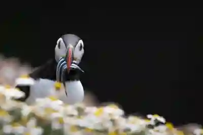 왓챠 정기결제 해지 방법 알아보자
