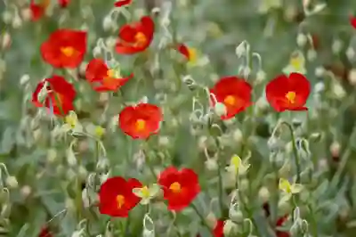 탭 무음 기능을 활용하는 꿀팁