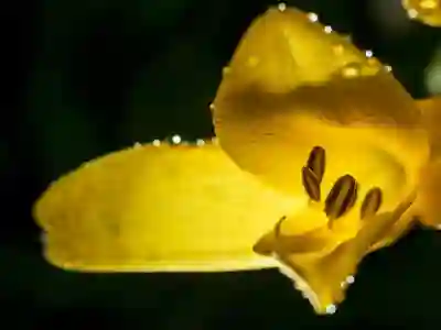 마우스 제스처로 웹 서핑 효율 높이는 방법 알아보자