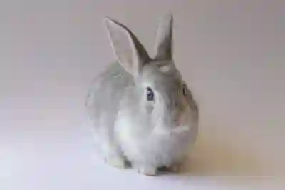 클립스튜디오 글자 간격과 띄어쓰기 넓이 조정 꿀팁