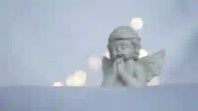 페이코 카드 등록 및 삭제 방법 알아보자