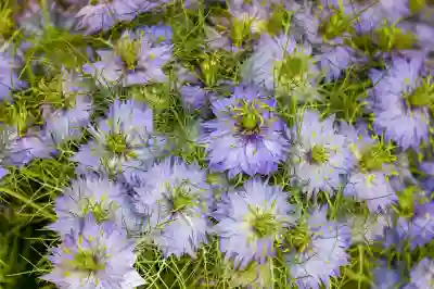 사진 GIF 만들기 위한 4가지 방법 알아보자