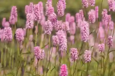 홍미노트 10 버튼 진동 끄는 방법 알아보자