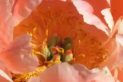 포토샵 CS6 권장 사양 알아보자