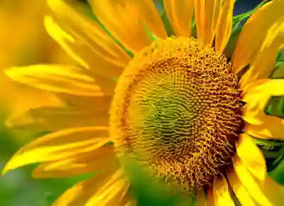 포토샵 텍스처 브러쉬 추천과 활용법 알아보자