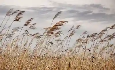 포토샵으로 파비콘 만들기 위한 4가지 꿀팁