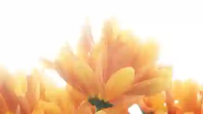 간단한 지퍼 수선법 알아보자