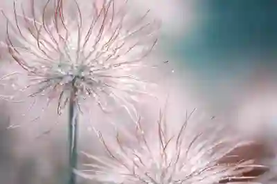 구글 포토 용량 늘리는 4가지 방법 알아보자