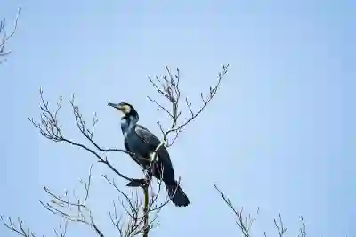 구글 포토로 가족 사진 꾸미는 꿀팁