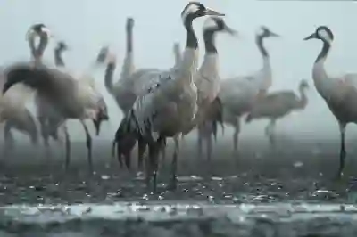 구글 포토에서 모든 사진을 백업하고 다운로드하는 방법 알아보자