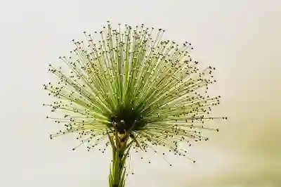 달빛 어린이병원 이용 시 알아두면 좋은 4가지 팁