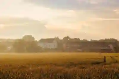 이사 전후 물품 보관 서비스 활용법 알아보자