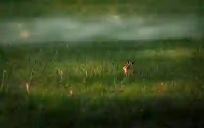 제주에서 긴급 이사 서비스 업체 추천과 이용 방법 알아보자
