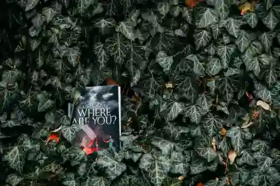 2026년 인기 영화와 드라마를 즐기는 방법 알아보자