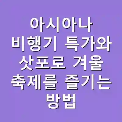아시아나 비행기 특가와 삿포로 겨울 축제를 즐기는 방법