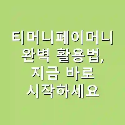 티머니페이머니 완벽 활용법, 지금 바로 시작하세요